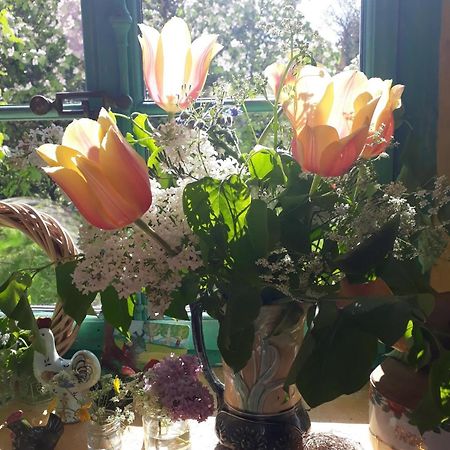 Bed and Breakfast Chez Cathy Arzier Екстер'єр фото