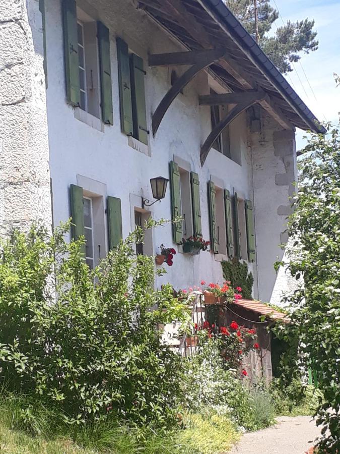 Bed and Breakfast Chez Cathy Arzier Екстер'єр фото