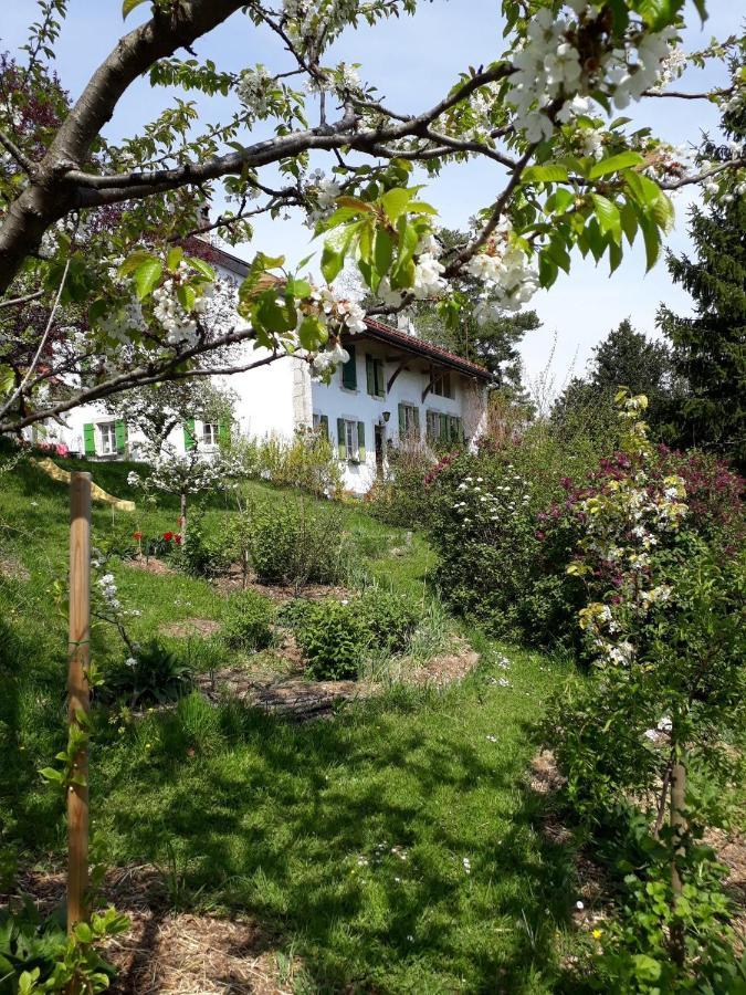 Bed and Breakfast Chez Cathy Arzier Екстер'єр фото