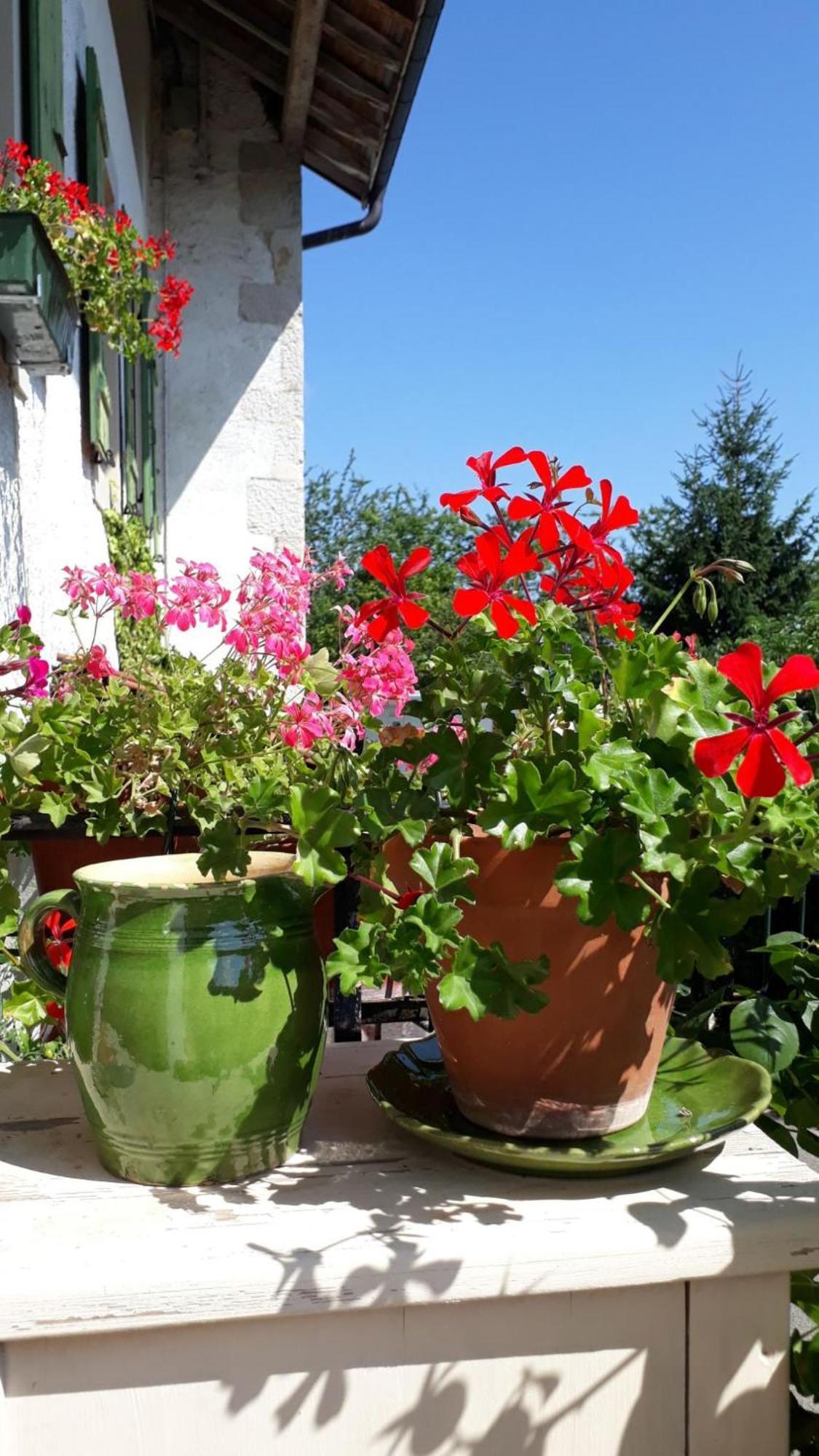 Bed and Breakfast Chez Cathy Arzier Екстер'єр фото